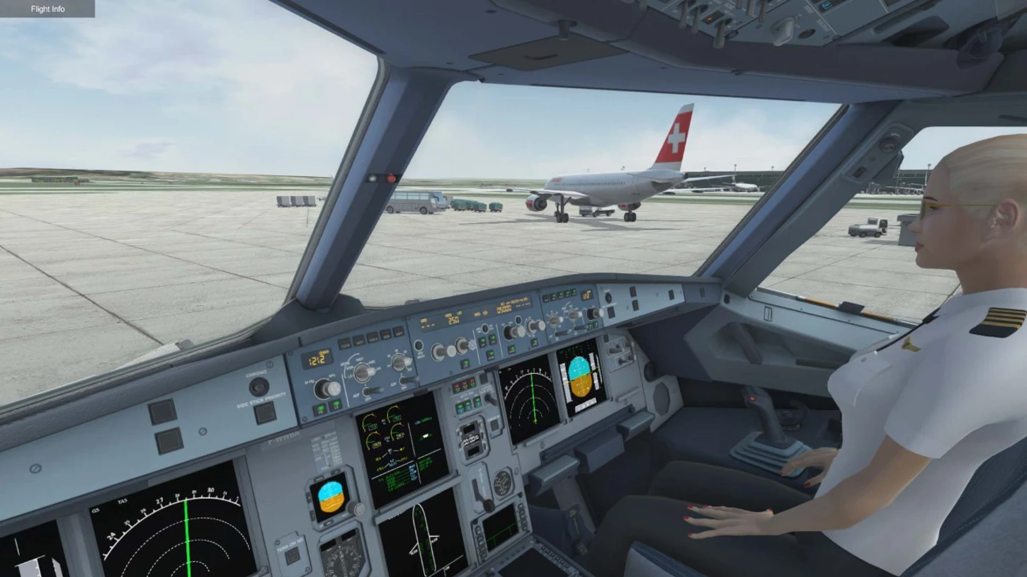 Holiday Flight Simulator No 5